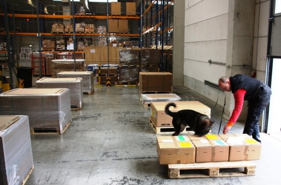 UF_Schlimgen_Hallenführung_Sprengstoffhund